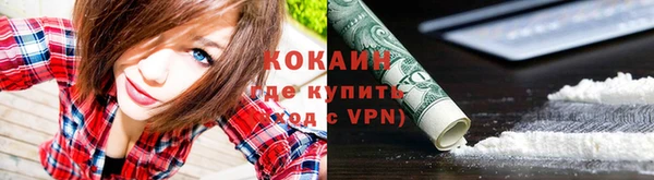крисы Верея