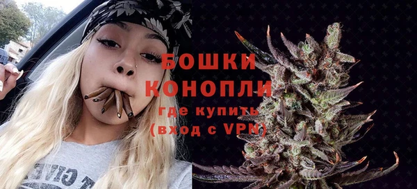 крисы Верея