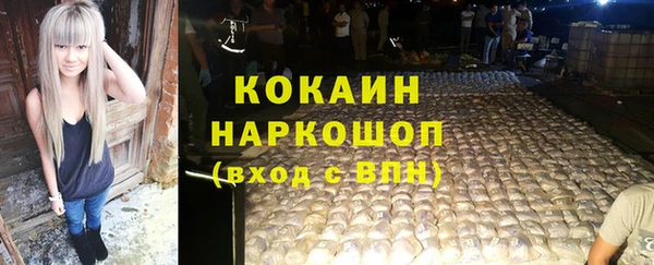 крисы Верея
