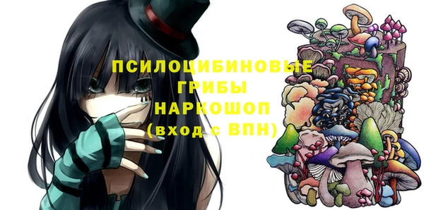 крисы Верея