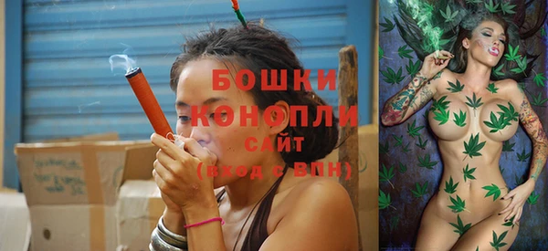 крисы Верея